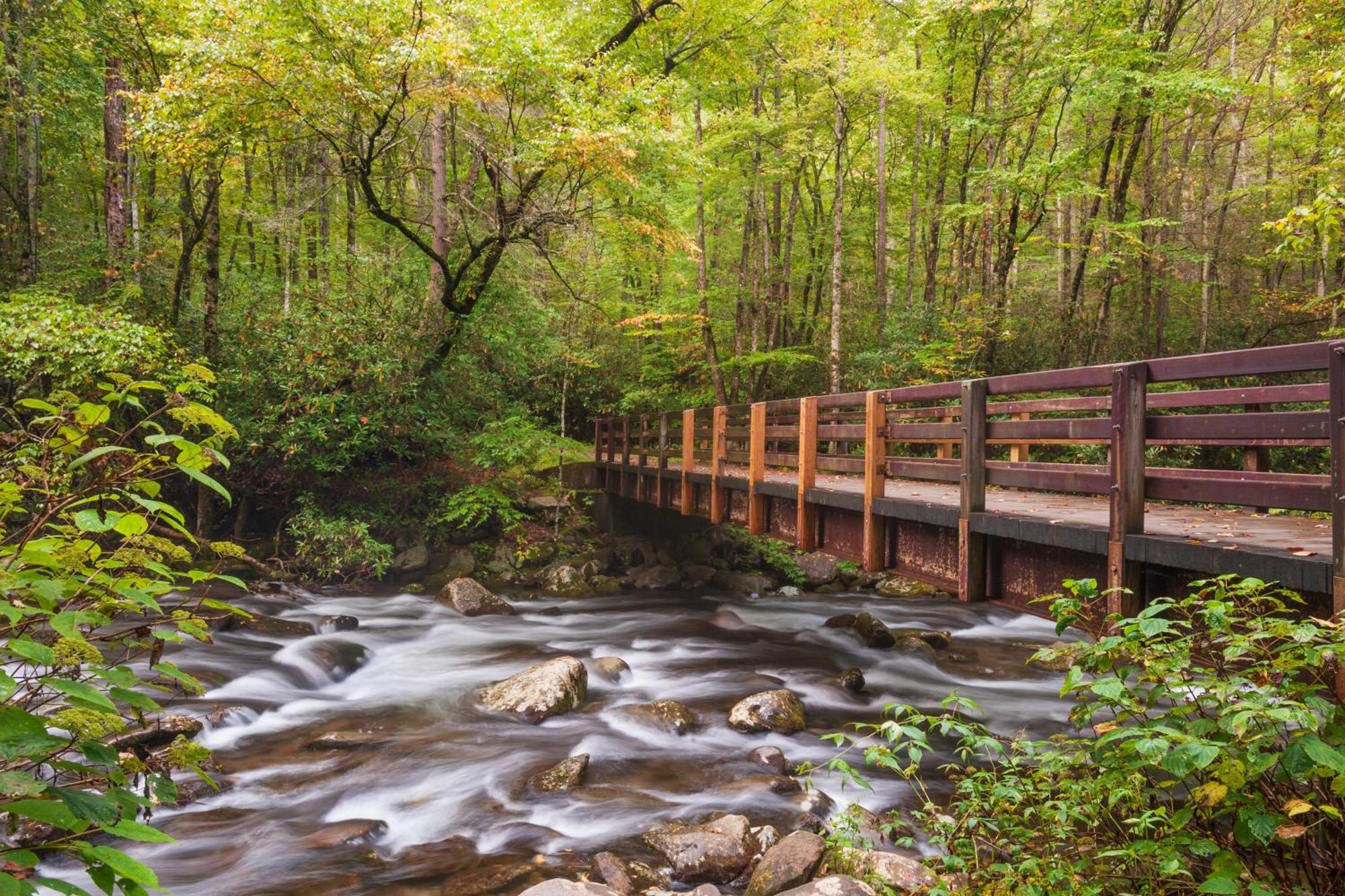 Ober Hideaway, Hot Tub, Wifi, 1089 Free Tickets Each Paid Day, Dollywood And More Gatlinburg Bagian luar foto